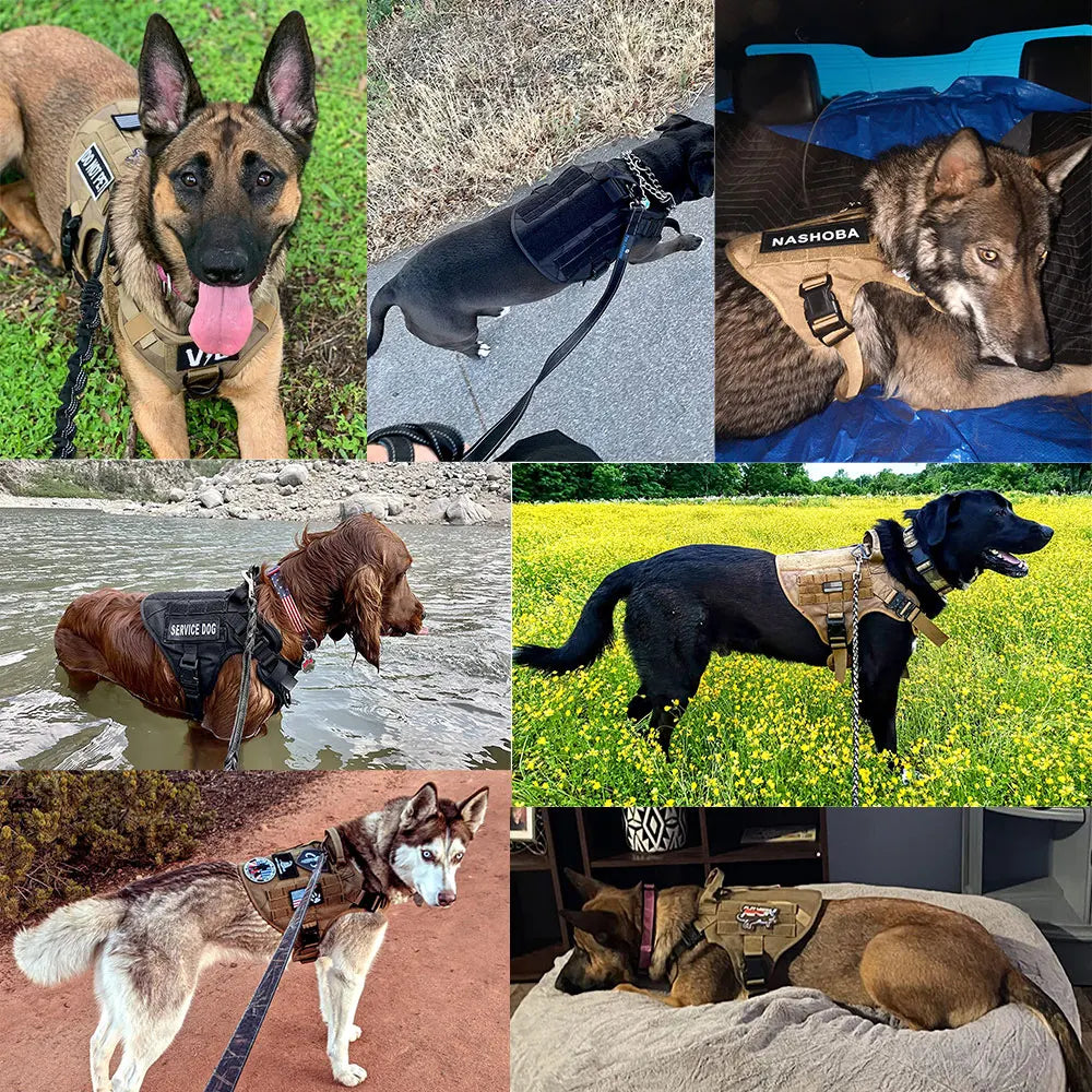 Tactical Dog Harness – Military Training Vest for Large Dogs (German Shepherd, Malinois & More)