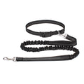 Hands-Free Dog Leash with Waist Belt – Adjustable Bungee Leash for Running & Walking