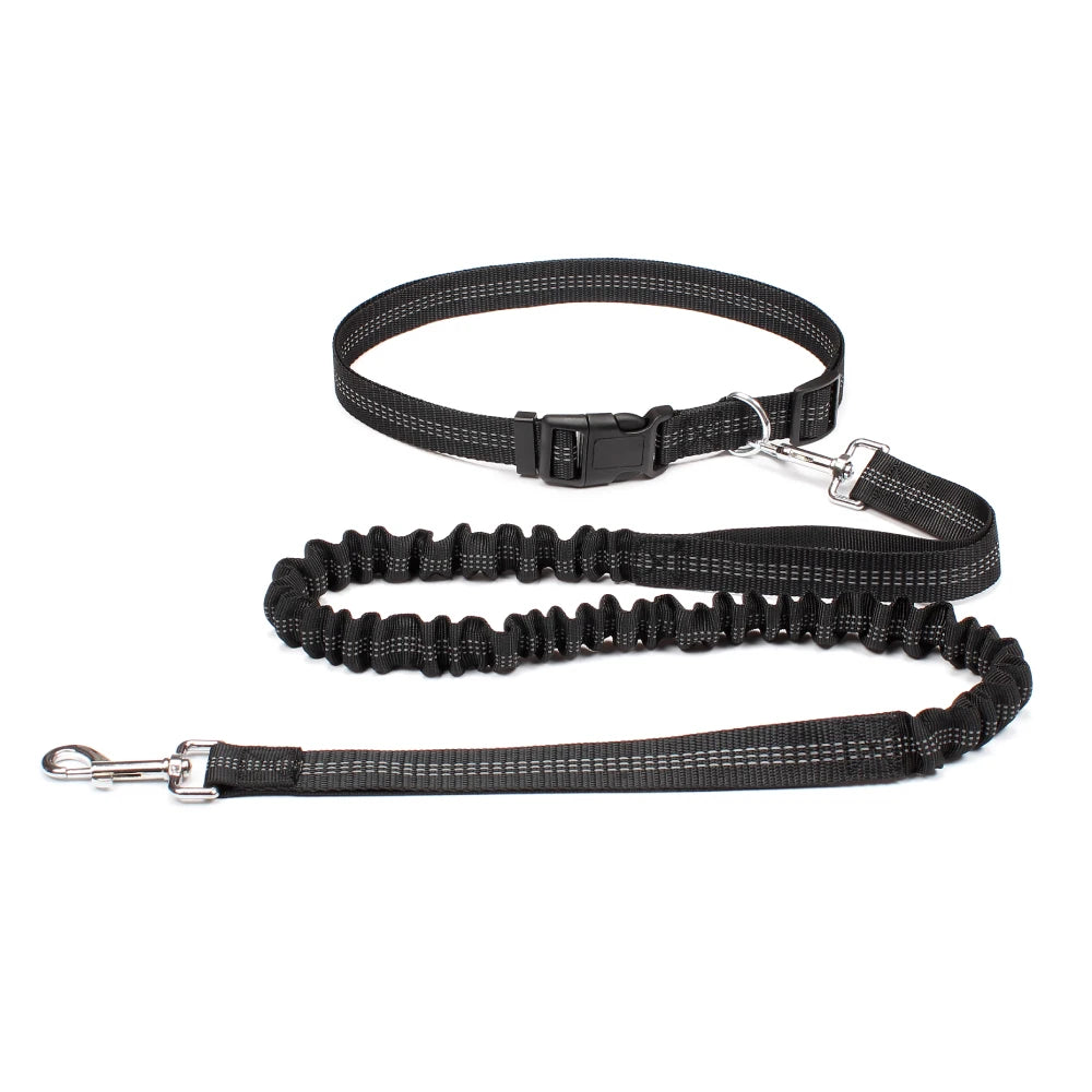 Hands-Free Dog Leash with Waist Belt – Adjustable Bungee Leash for Running & Walking