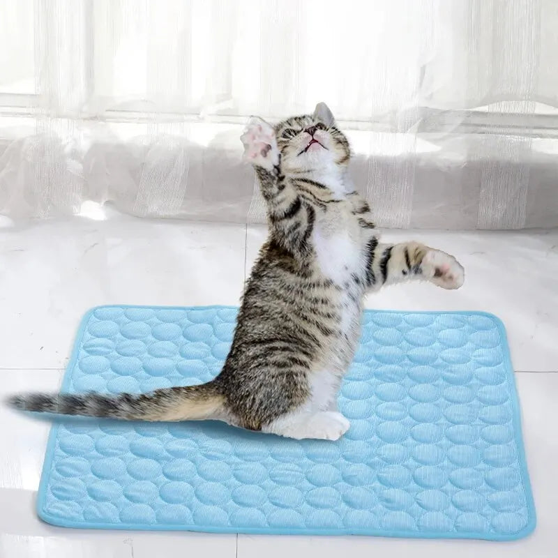 Pet Cooling Mat – Summer Ice Silk Sleeping Pad for Cats & Dogs