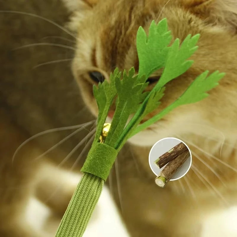 Catnip Molar Stick Cat Toy – Interactive Teeth Cleaning Chew Toy for Cats