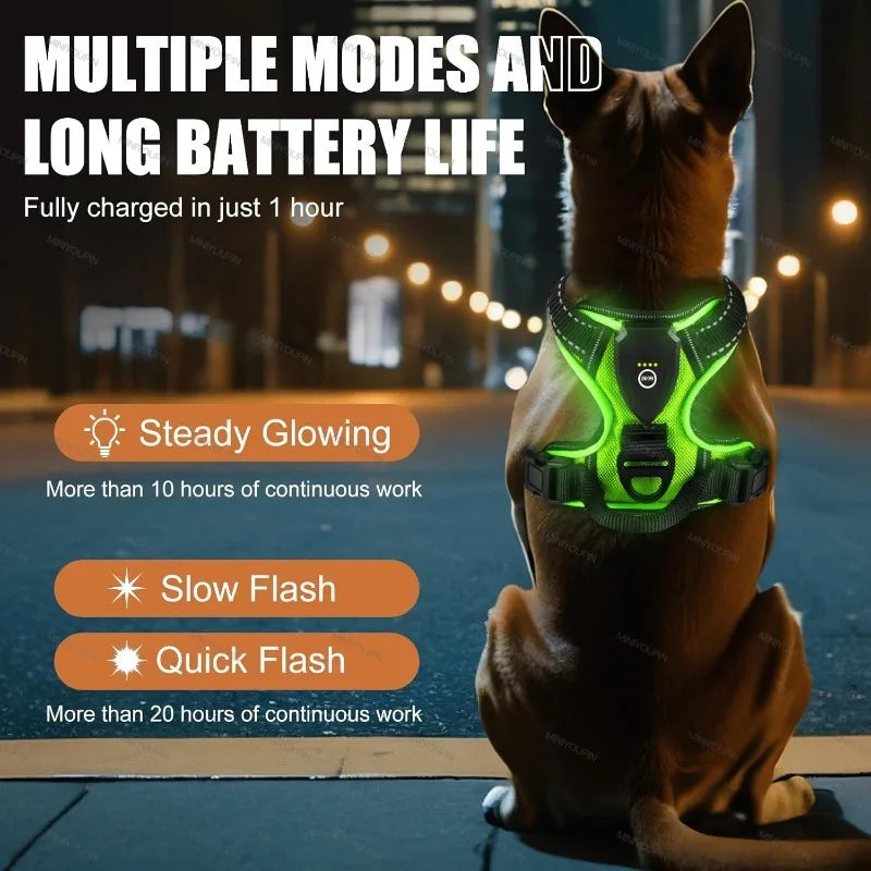 LED Light-Up Dog Harness – Rechargeable Glowing Vest for Safe Night Walks