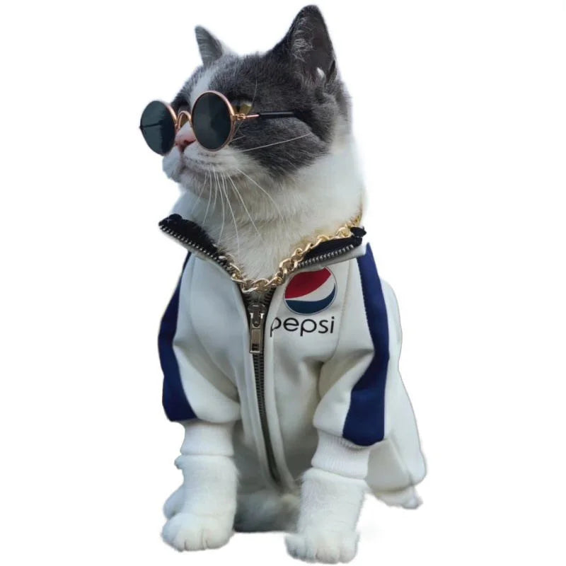 Vintage Round Sunglasses for Cats & Small Dogs – Photo Props & Cosplay