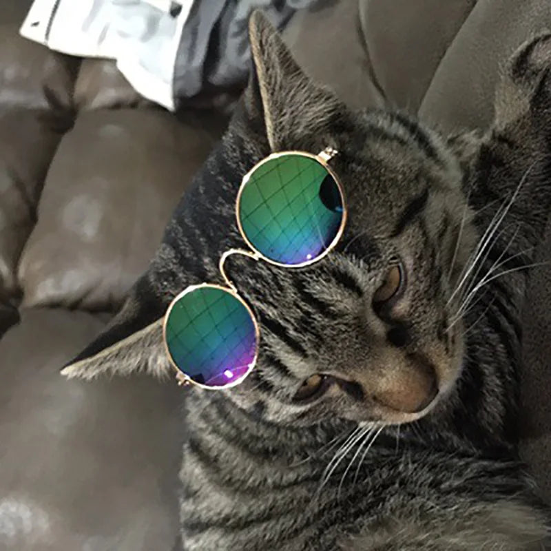 Vintage Round Sunglasses for Cats & Small Dogs – Photo Props & Cosplay