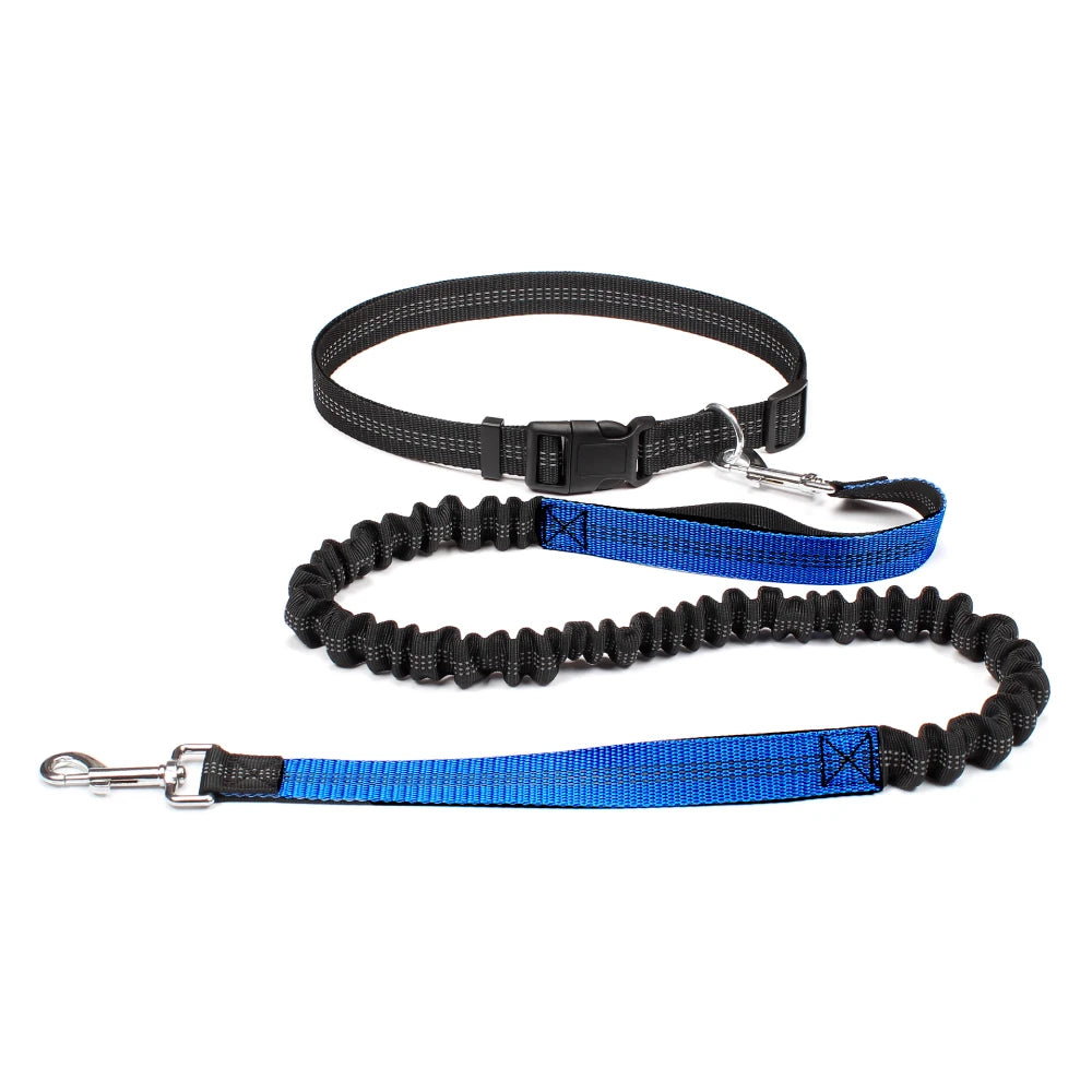 Hands-Free Dog Leash with Waist Belt – Adjustable Bungee Leash for Running & Walking