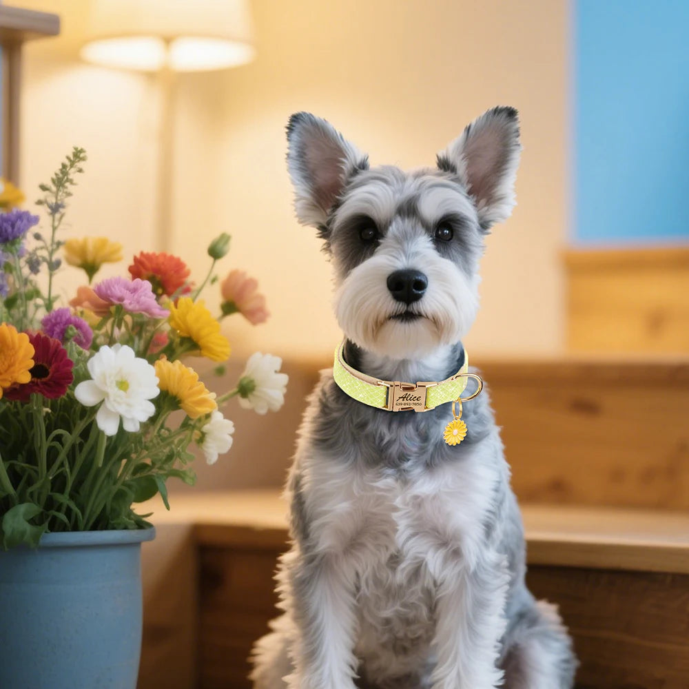 Personalized Bling Nylon Dog Collar – Free Engraved ID Tag with Flower Accessory