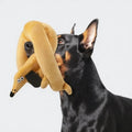 Snail Snuffle Mat & Odor-Hiding Puzzle Toy for Dogs & Cats – Interactive Sniffing & Training